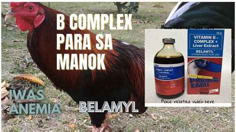 epekto ng belamyl sa manok|BELAMYL B COMPLEX PARA SA ATING MGA MANOK .